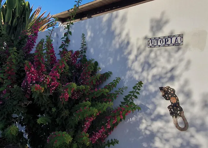 Utopia, 4 Bedrooms, Heated Pool & Complete Privacy 别墅 普拉亚布兰卡